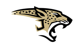 Johnson Jaguars